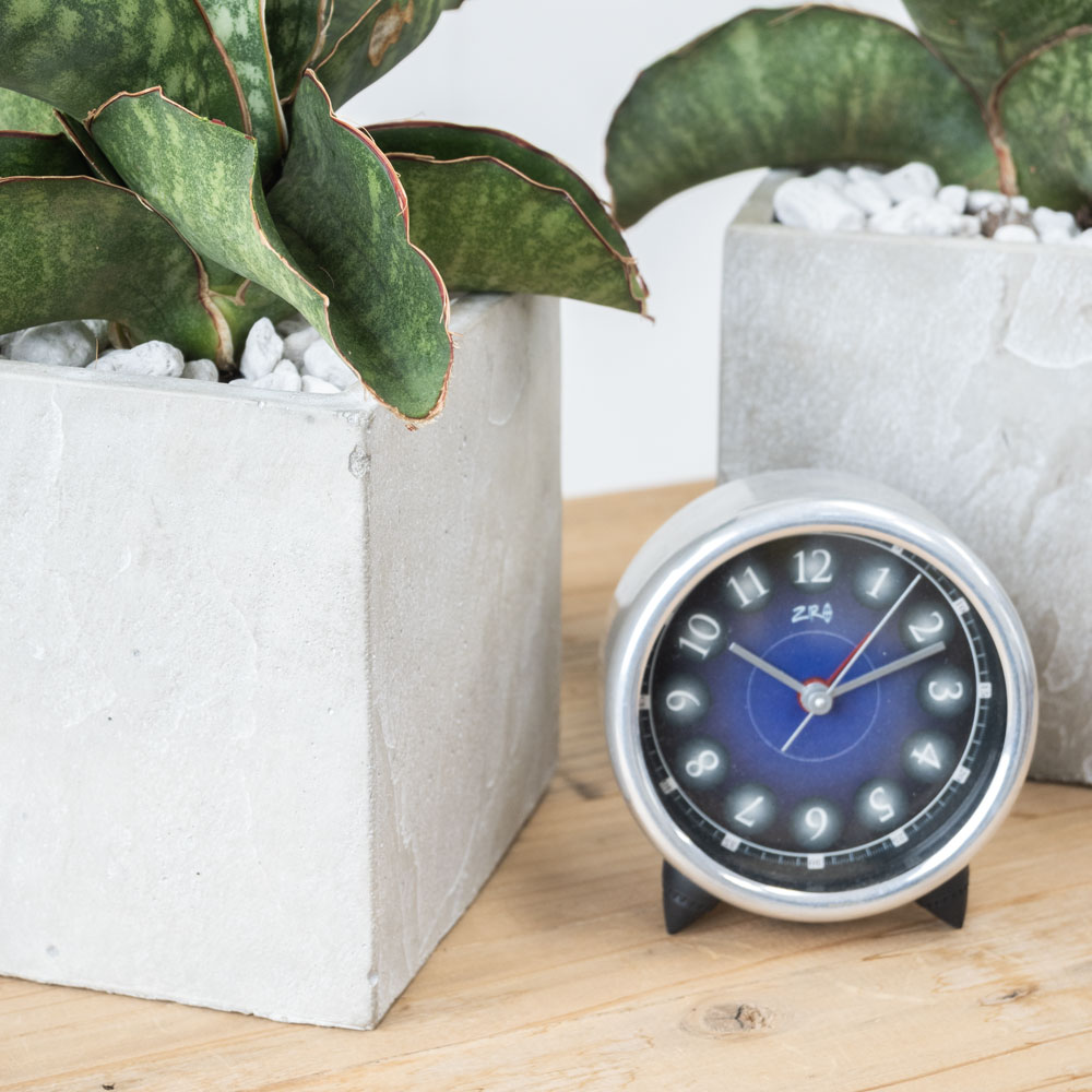 サンセベリア・ドラゴンウィング