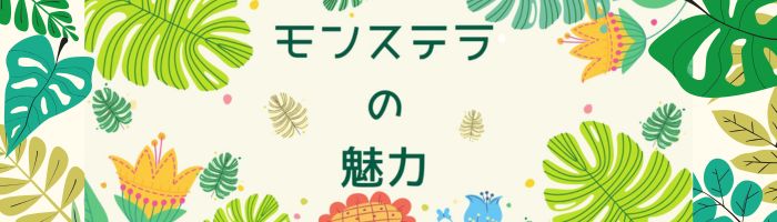 モンステラのエピソード