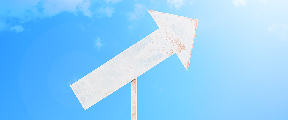 昇進祝いにおすすめの観葉植物