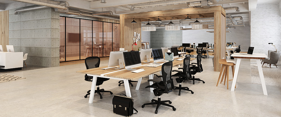 移転祝いにおすすめの観葉植物