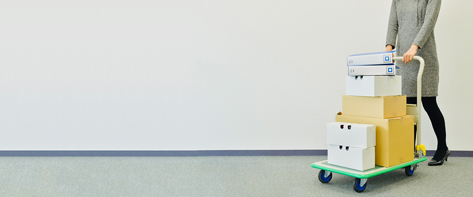 事務所移転祝いにおすすめの観葉植物