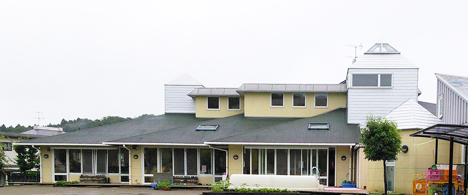 開所祝いにおすすめの観葉植物