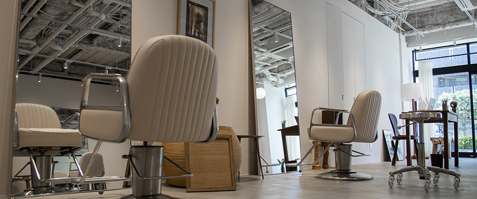 開店祝いにおすすめの観葉植物