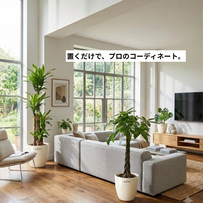 置くだけで、プロのコーディネート。