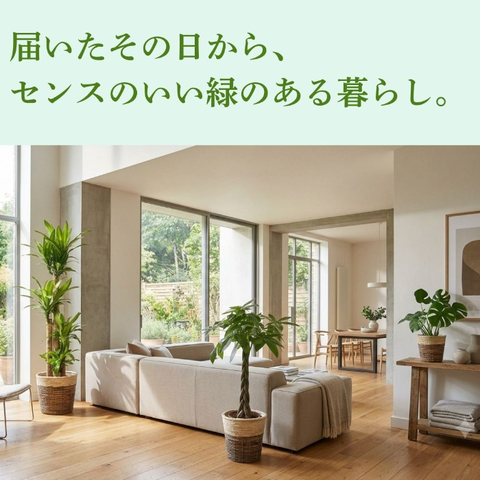 届いたその日から、センスのいい緑のある暮らし。