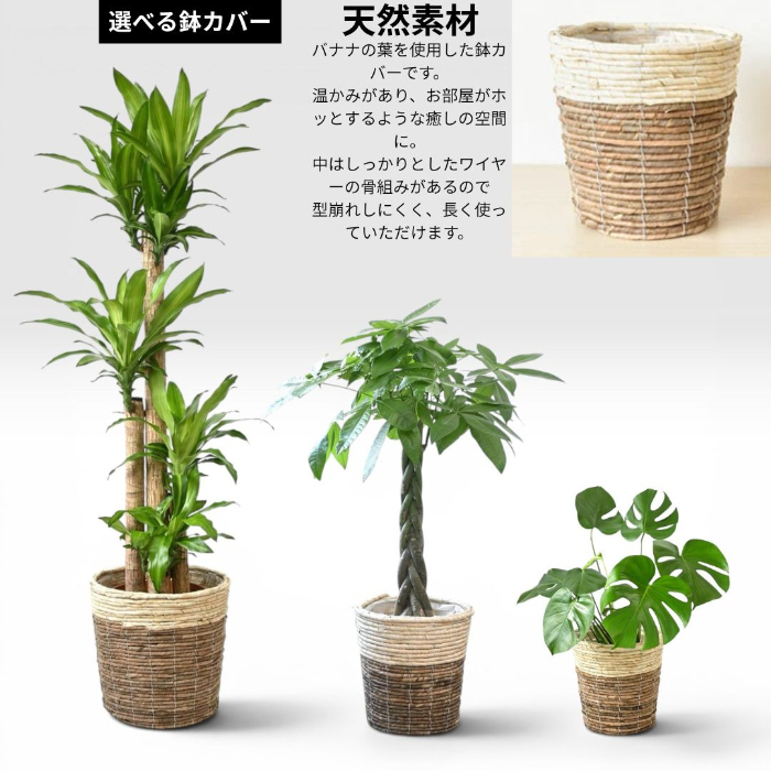 選べる鉢カバー 天然素材バナナの葉