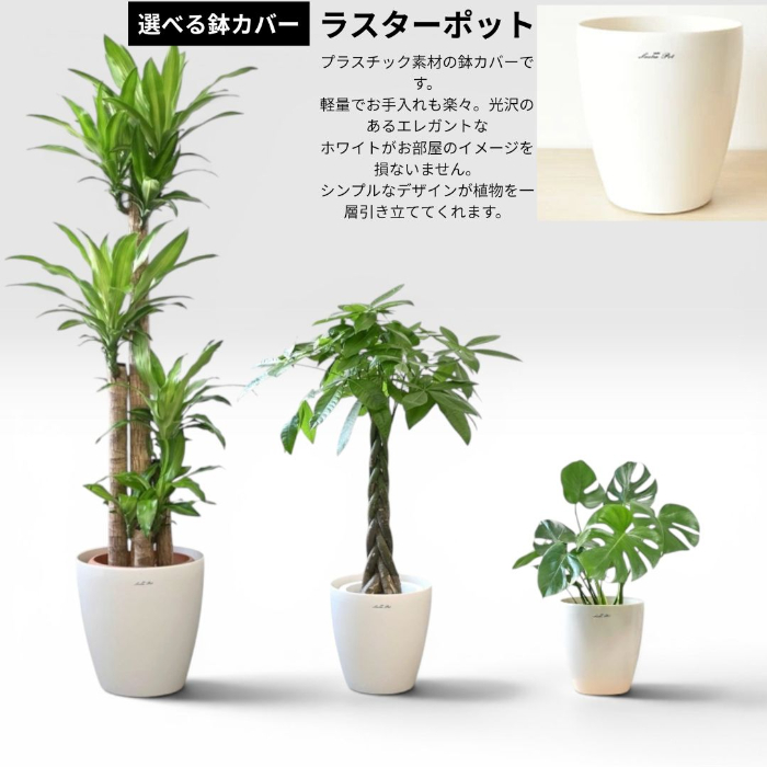 選べる鉢カバー ラスターポット