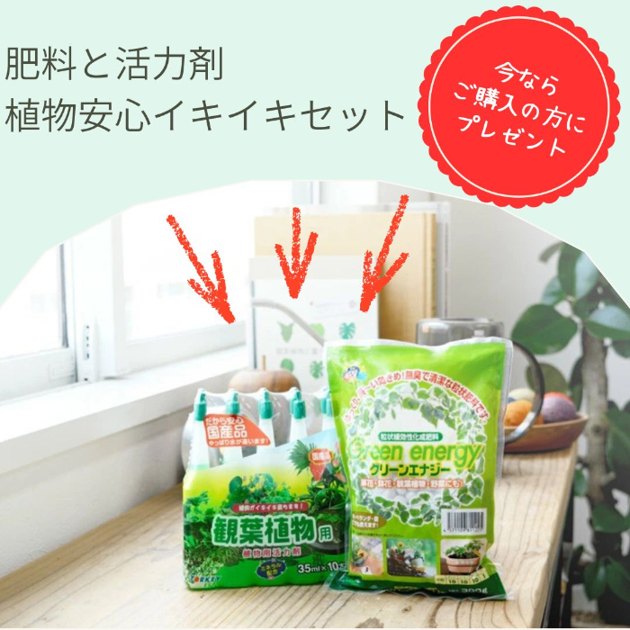肥料と活力剤 植物安心イキイキセットをプレゼント