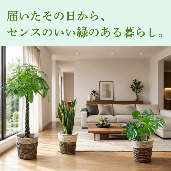 届いたその日から、センスのいい緑のある暮らし。