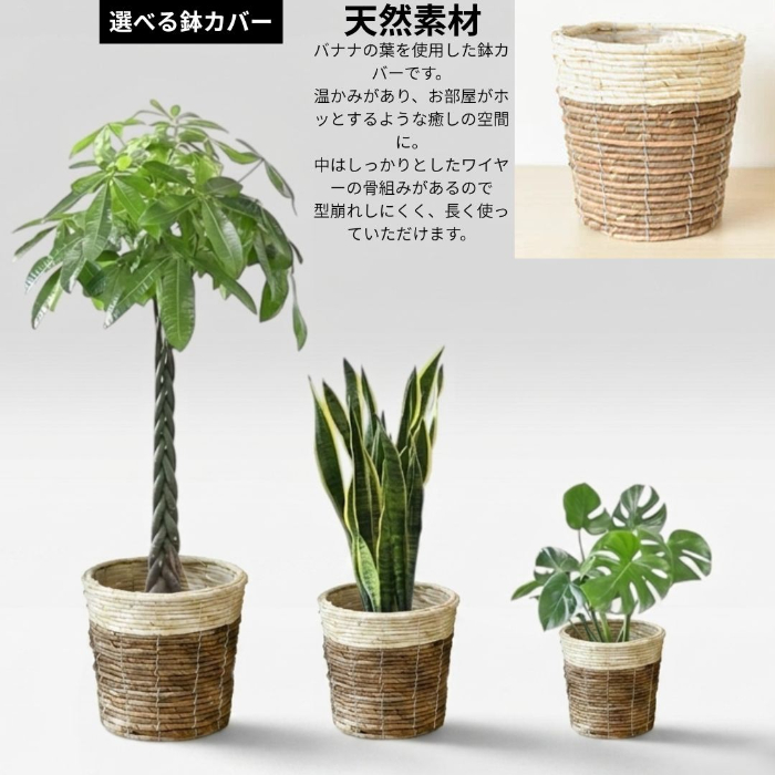 選べる鉢カバー 天然素材バナナの葉