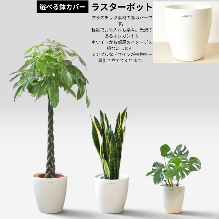 選べる鉢カバー ラスターポット