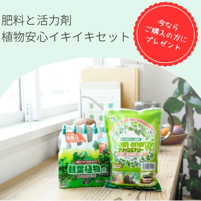 肥料と活力剤 植物安心イキイキセットをプレゼント