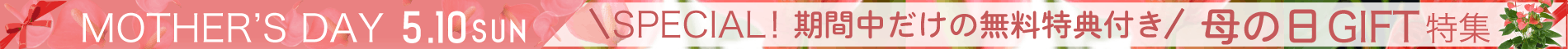 母の日特集