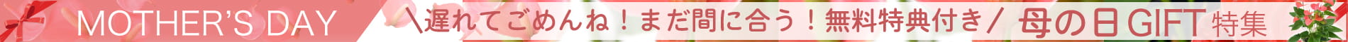 母の日特集