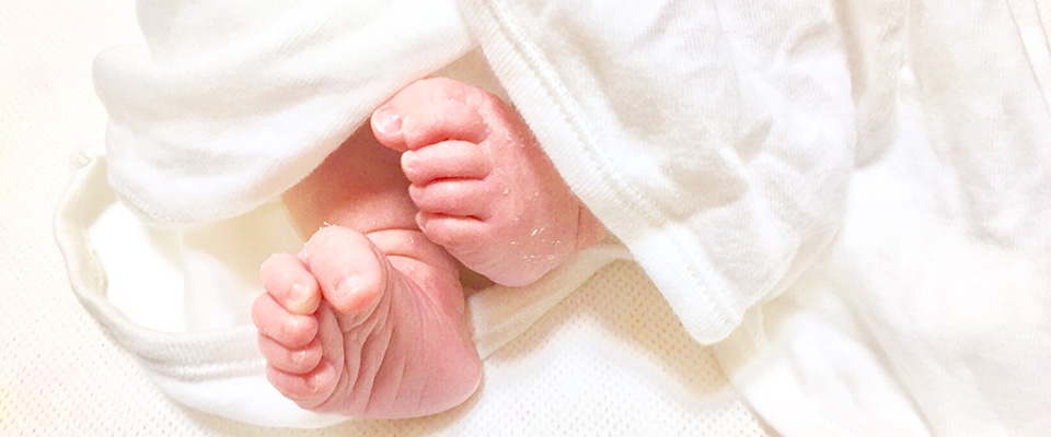 内祝におすすめの観葉植物