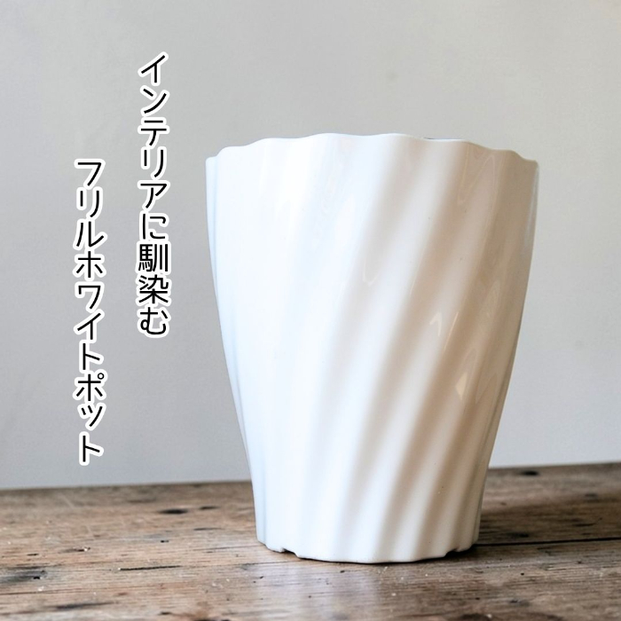 ベンガルボダイジュ