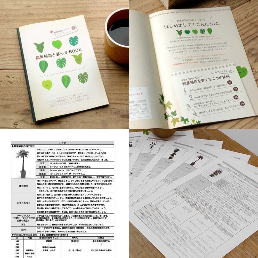 【無料】2つの育て方ガイド付き!初めてでも安心。
