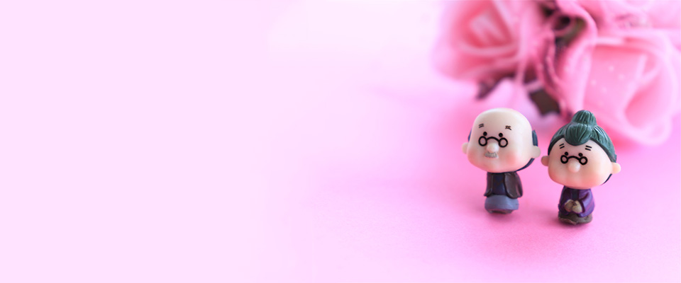 新居祝いにおすすめの観葉植物