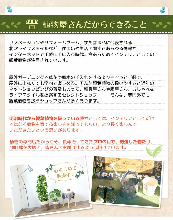 植物屋さんだからできること