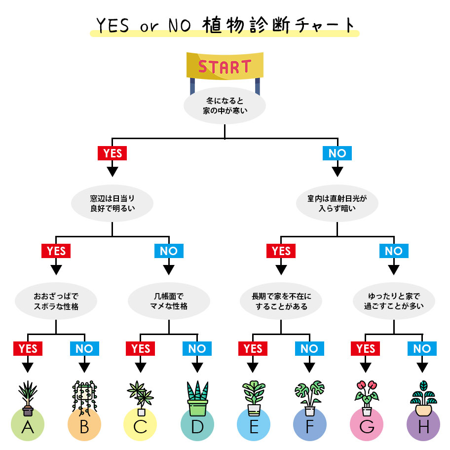YES or NO 植物診断チャート