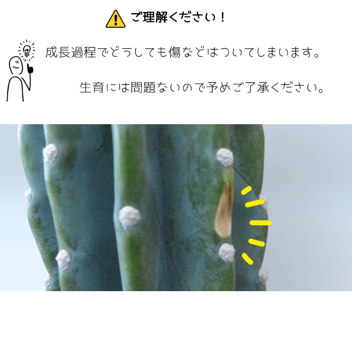 成長過程の傷についてのご理解