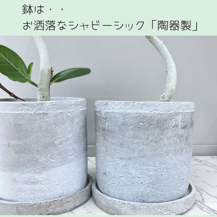 お洒落なシャビーシック陶器鉢