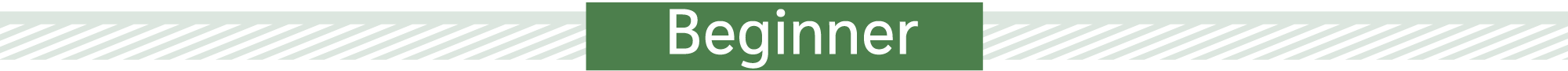 初心者におすすめの商品