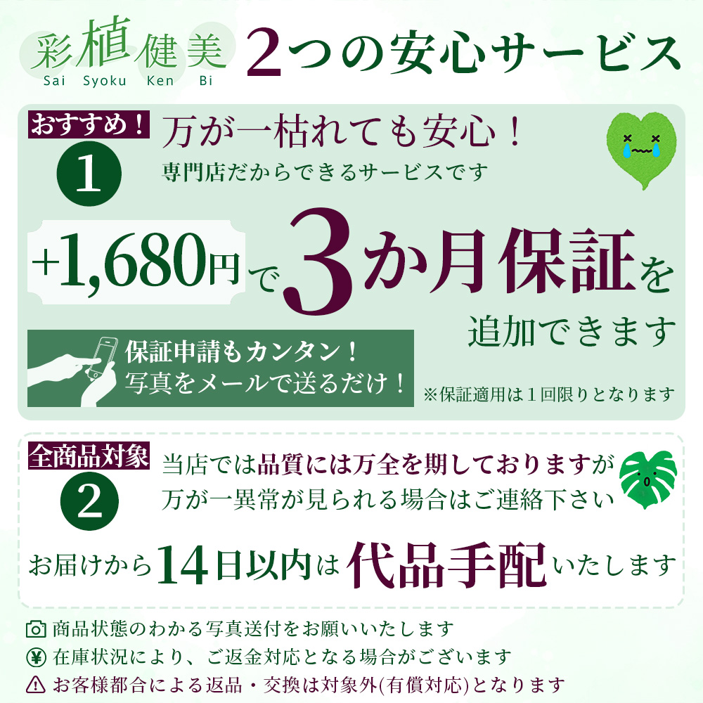 彩植健美ならではの安心サービス