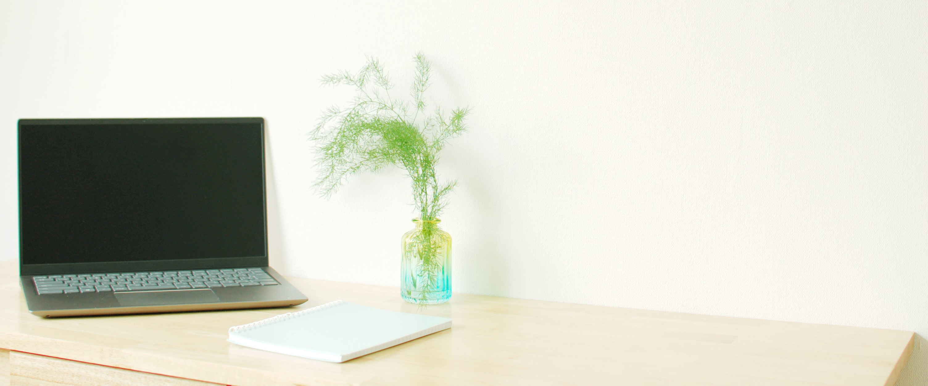 仕事部屋・書斎に置く観葉植物