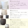 フィカス・ロブスター（ゴムノキ） 10号鉢 選べる鉢カバー付き 観葉植物