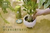 MY PLANTS ケアシリーズ５点セット