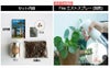 世界の植物 栽培セット world plant collection