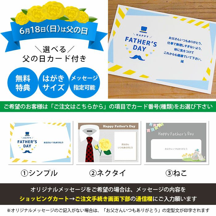 観葉植物 数量限定 フランスゴム ナチュラルバスケットカバー付