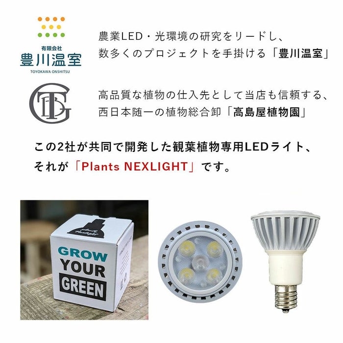 選べる ミニ 観葉植物 + ミニ観葉植物用育成ライト