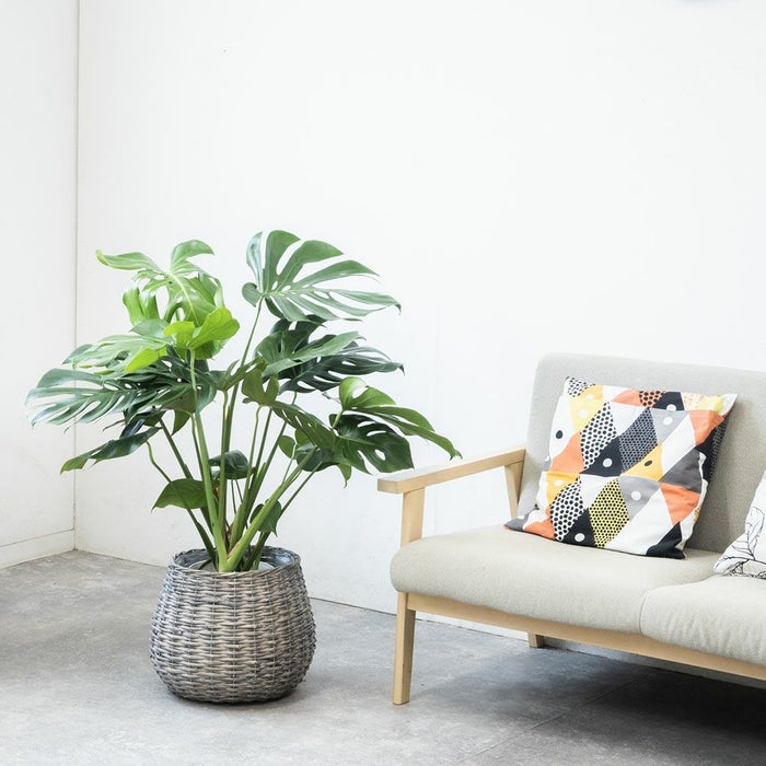 モンデリックボールバスケット 7号鉢・8号鉢兼用 鉢カバー