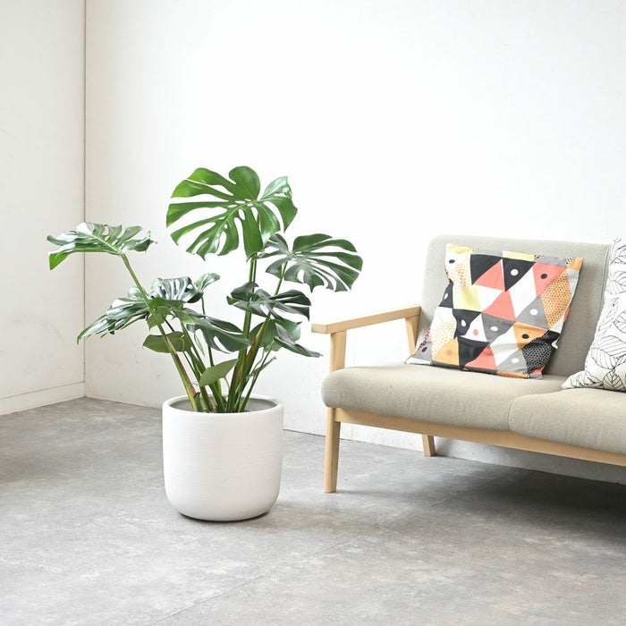 ルーケト鉢カバー 7号・8号共通