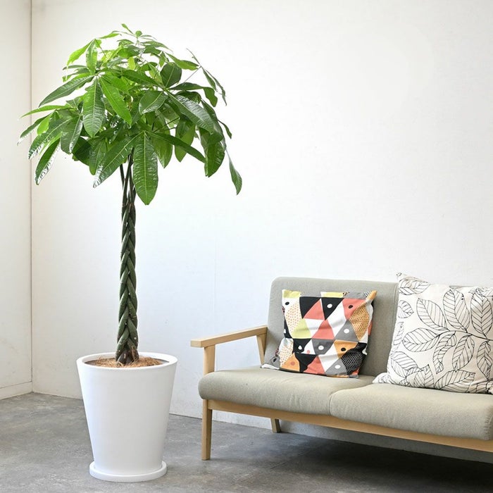  ファイバークレイ 10号鉢カバー