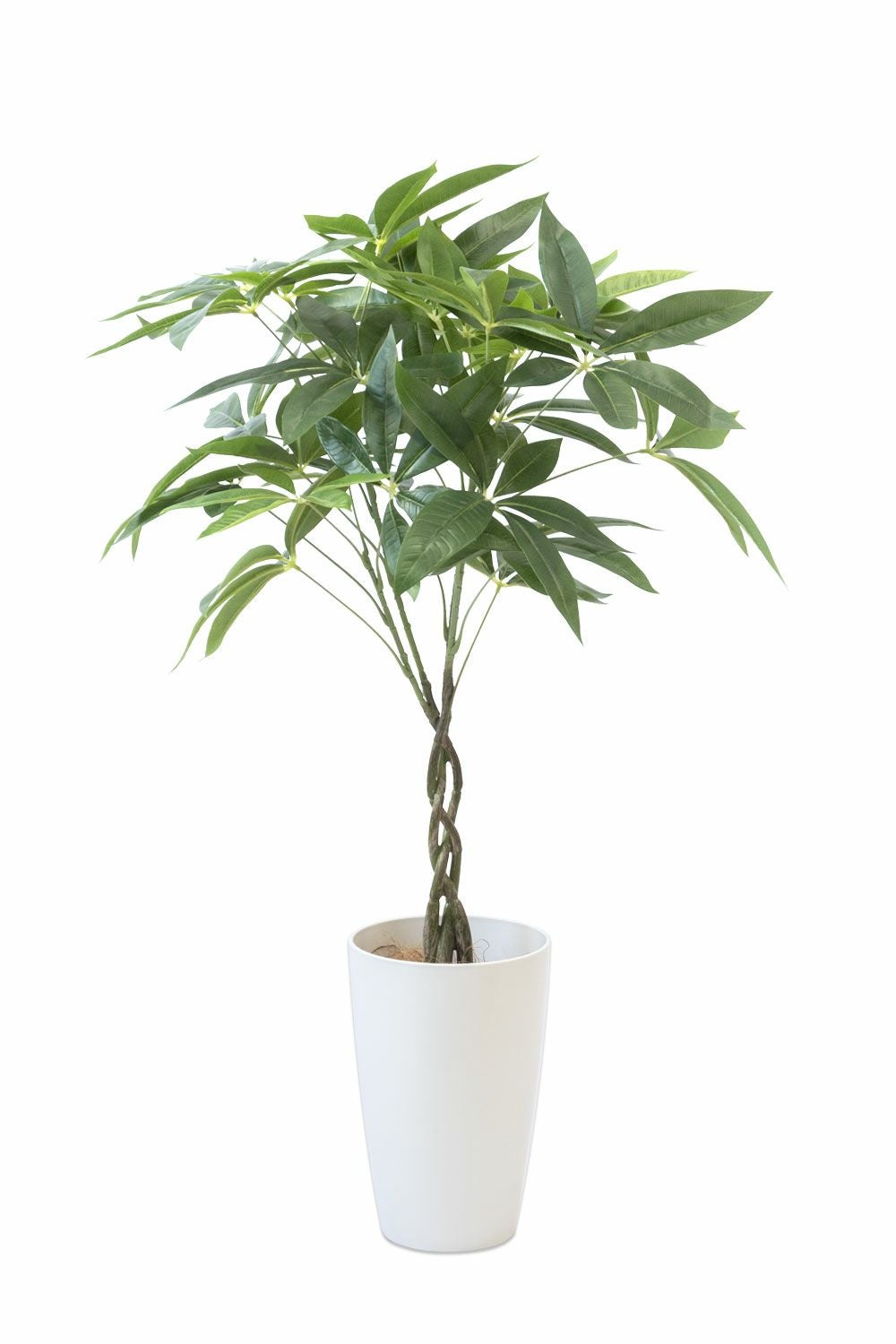 人工観葉植物 フェイクグリーン パキラ プラ鉢 ロング ポット