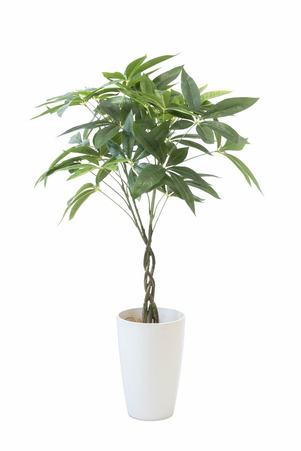 人工観葉植物 フェイクグリーン パキラ プラ鉢 ロング ポット