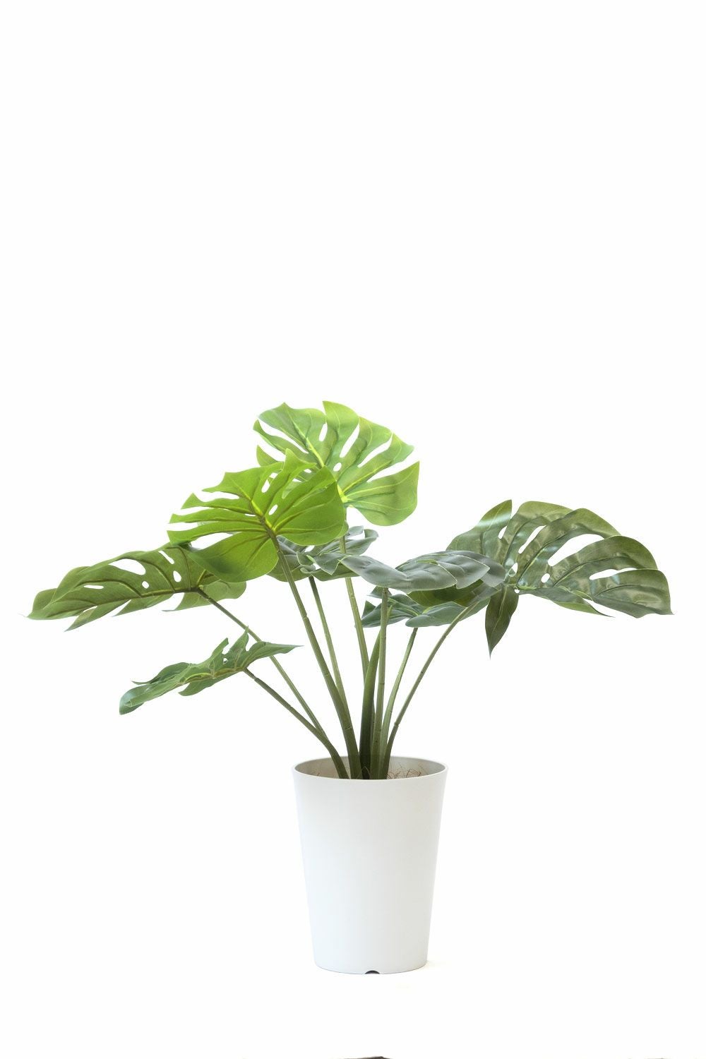人工観葉植物 フェイクグリーン モンステラ プラ鉢 ロング ポット