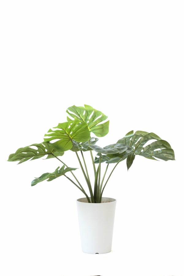 人工観葉植物 フェイクグリーン モンステラ プラ鉢 ロング ポット