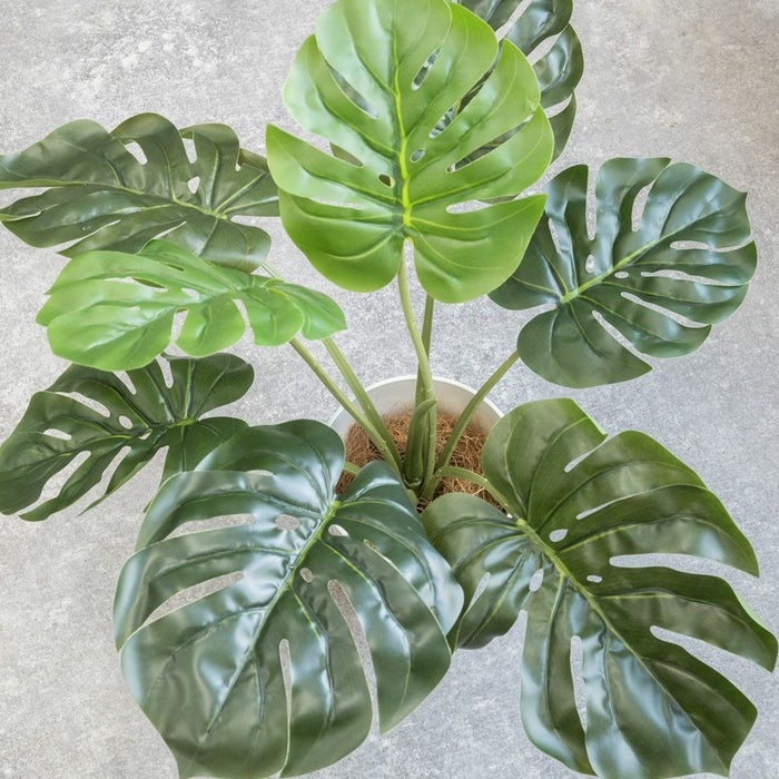  人工観葉植物 フェイクグリーン モンステラ プラ鉢ロングポット