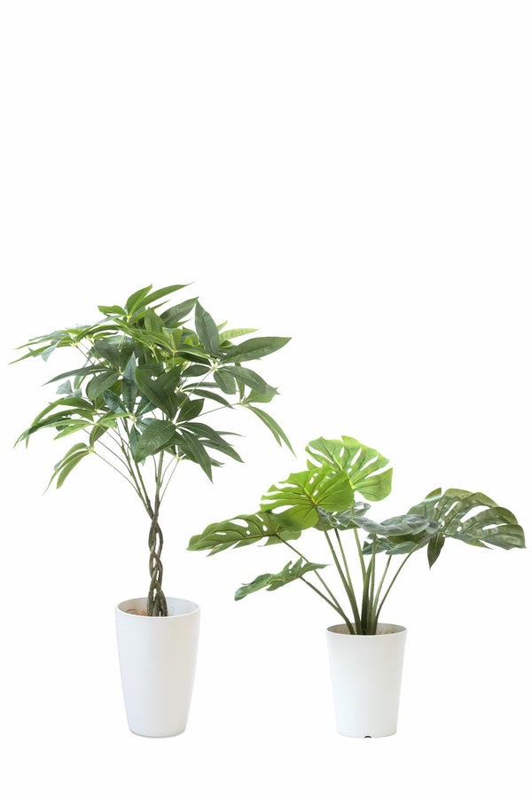 人工観葉植物 フェイクグリーン パキラ モンステラ 2鉢セット プラ鉢 