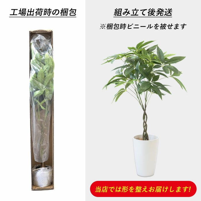 人工観葉植物 フェイクグリーン パキラ モンステラ 2鉢セット プラ鉢ロングポット
