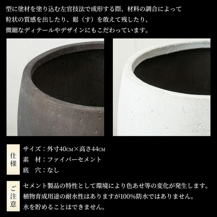 幸福の木 ドラセナ・マッサンゲアナ 10号鉢 ファイバーストーン(陶器)鉢カバー付き 観葉植物 本物