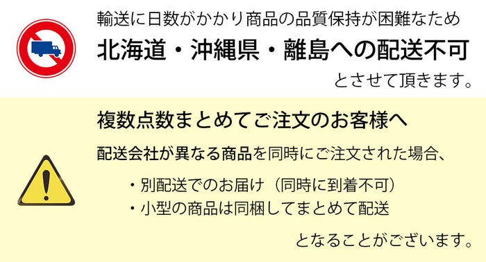 観葉植物 通販 マングーカズラ 10号鉢 ガルボ鉢カバー付き 観葉植物 本物