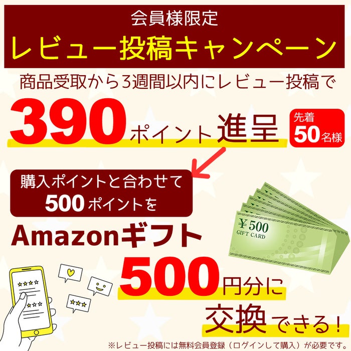 観葉植物 通販 サンスベリア・ローレンティー 8号鉢 エコフレンドリーポット鉢カバー付 観葉植物 本物