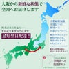 観葉植物 通販 ポトス・タワー仕立て 8号鉢 ガルボ鉢カバー付 観葉植物 本物