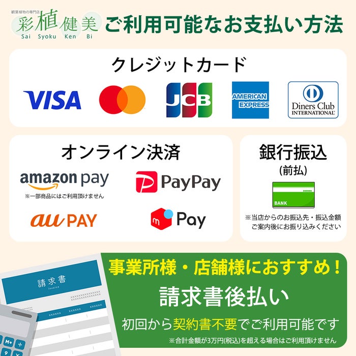 観葉植物 通販 ユッカ・エレファンティペス 7号鉢 ルーケト鉢カバー付 観葉植物 本物