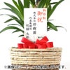 観葉植物 通販 ユッカ 6号鉢 ライトチャコール鉢カバー付 観葉植物 本物